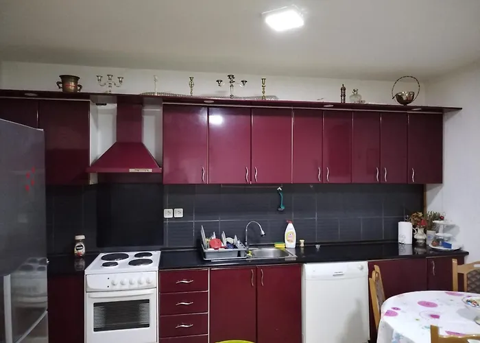 公寓 Miladinovic Bistrica (Branicevo)