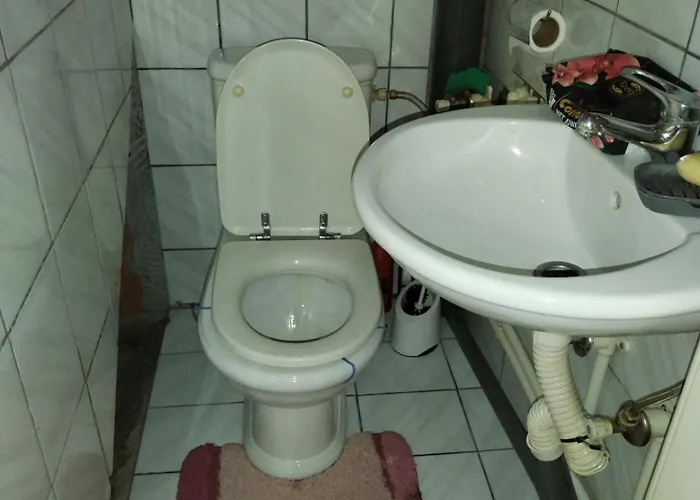 Miladinovic 公寓 *