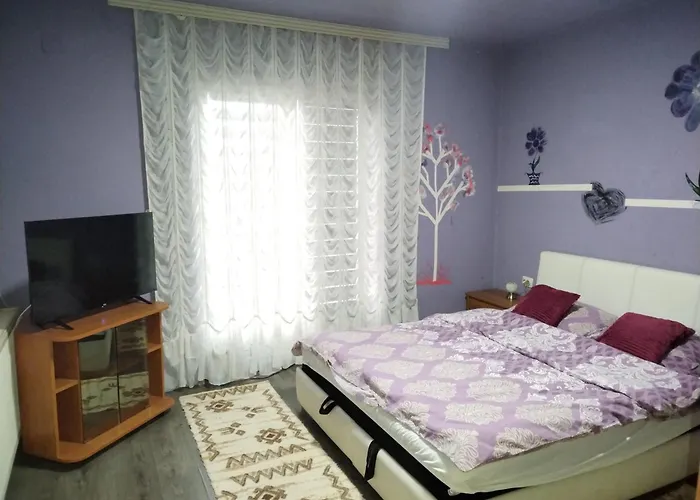 公寓 Miladinovic Bistrica (Branicevo)