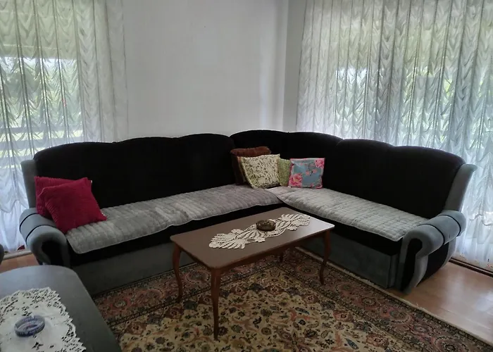 公寓 Miladinovic Bistrica (Branicevo)